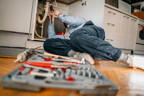 Best Plumbing Inspection Services  in Nyon Lake, CA