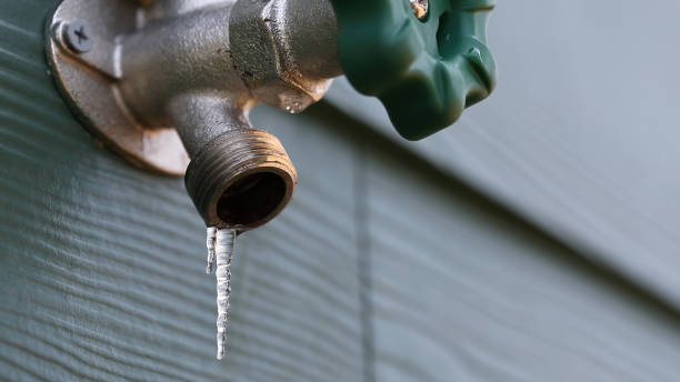Best Clogged Drain Plumber  in Nyon Lake, CA