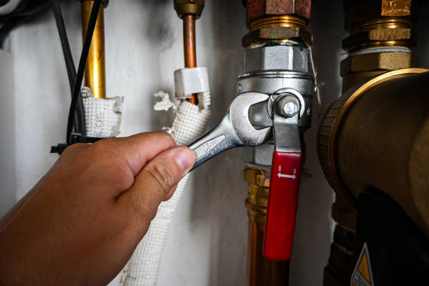 Best Hot Water Heater Installation  in Nyon Lake, CA